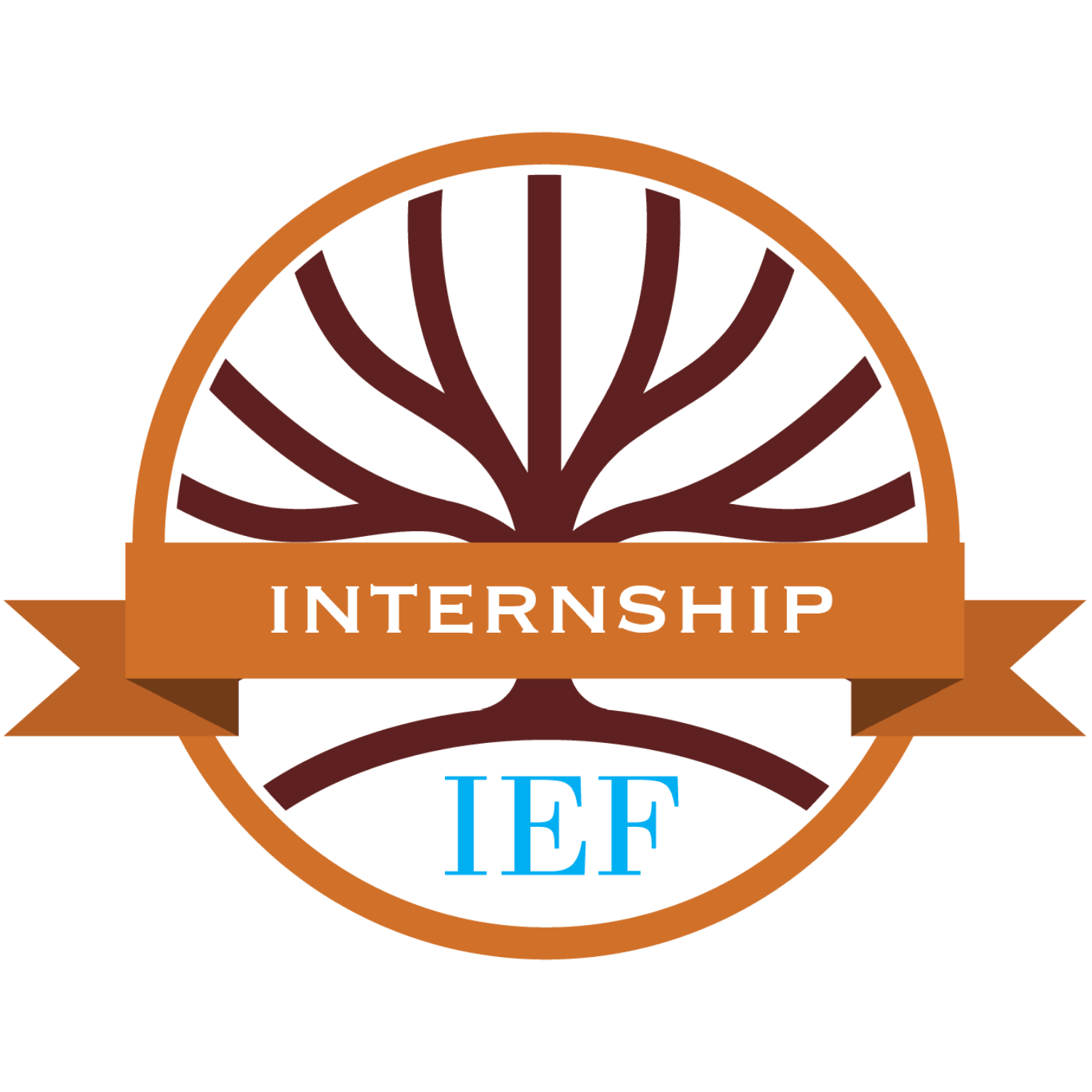 Internship - IEF